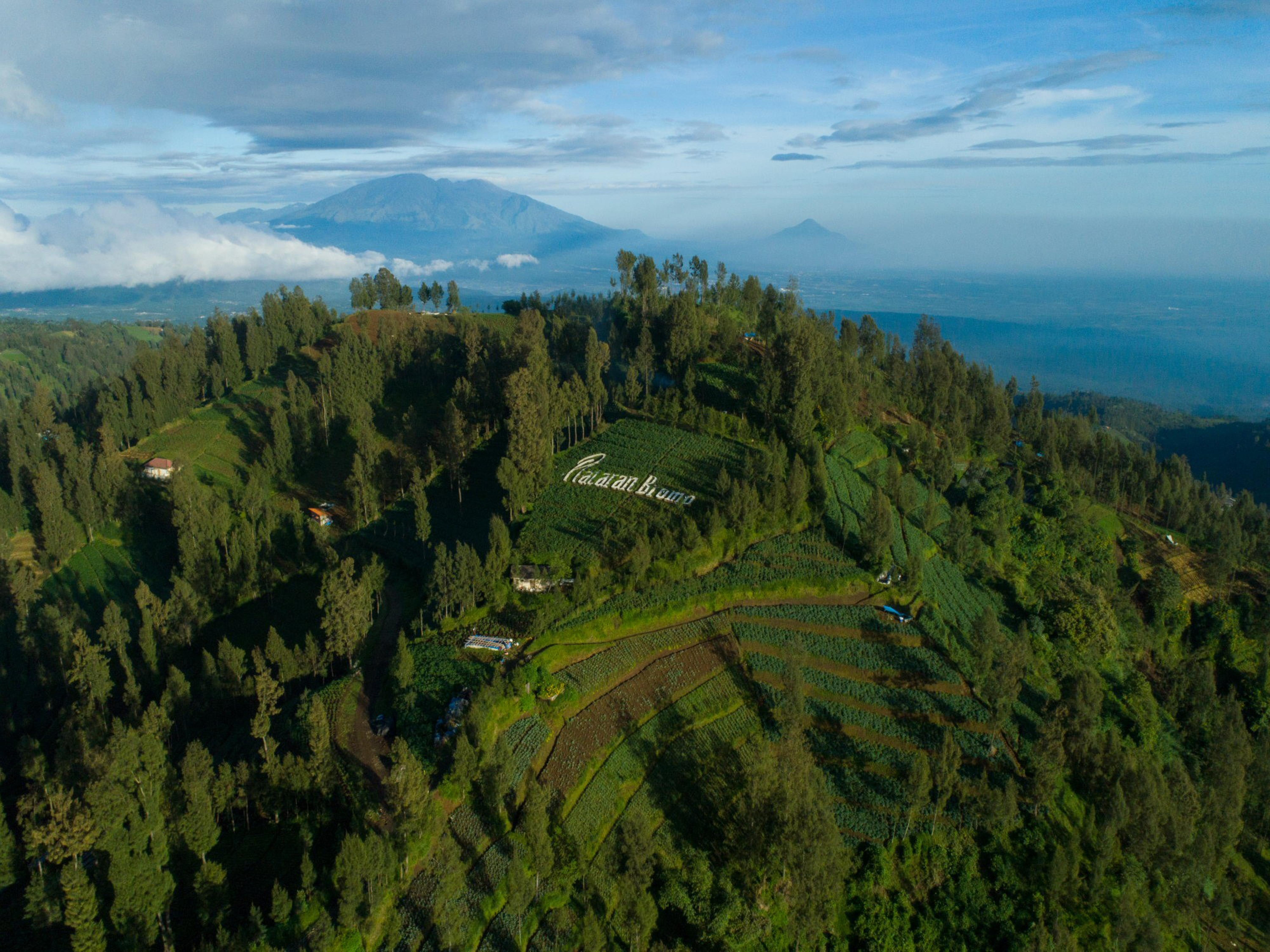 Plataran Bromo Otel Dış mekan fotoğraf