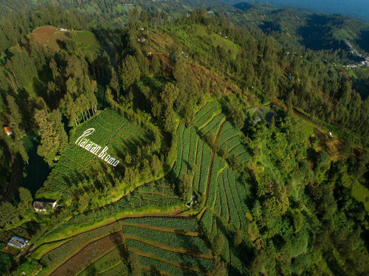 Plataran Bromo Otel Dış mekan fotoğraf